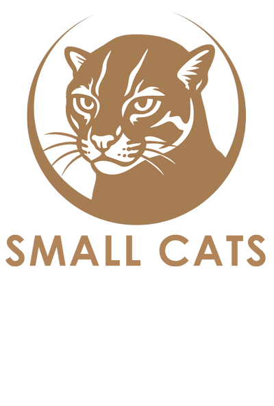 small-cats-symposium-2025-bay-cat--pantera-1