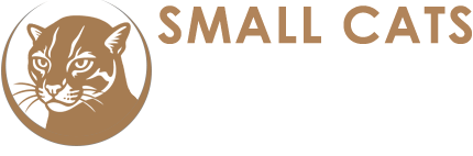 small-cats-symposium-2025-bay-cat--pantera-wide-1