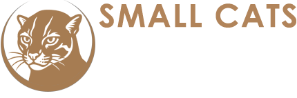 small-cats-symposium-lkogo-1---2026
